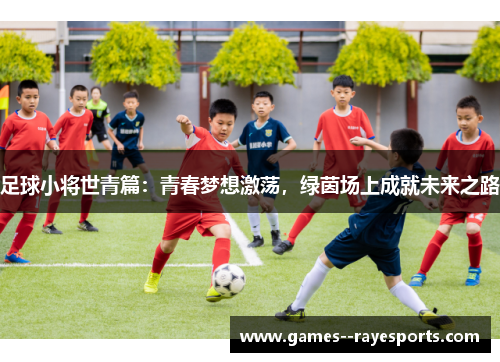 足球小将世青篇：青春梦想激荡，绿茵场上成就未来之路