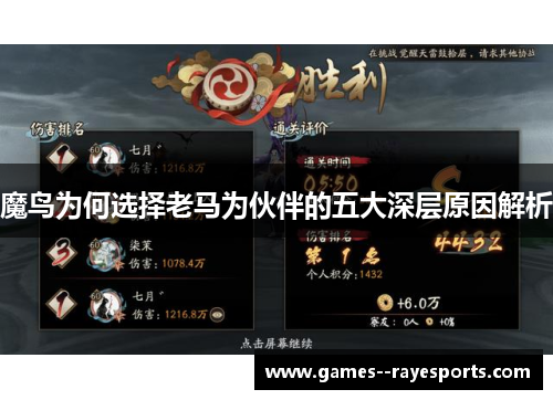 魔鸟为何选择老马为伙伴的五大深层原因解析